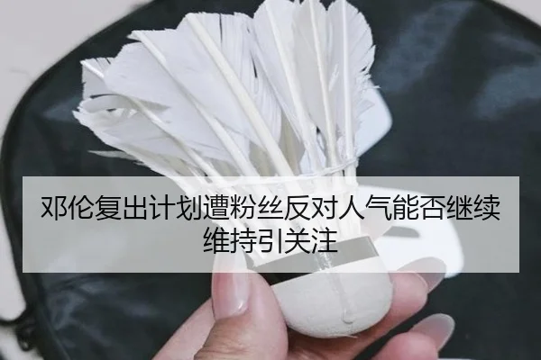 邓伦复出计划遭粉丝反对人气能否继续维持引关注