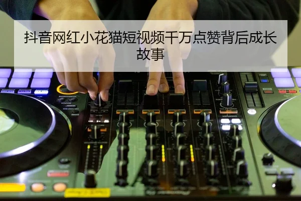 抖音网红小花猫短视频千万点赞背后成长故事